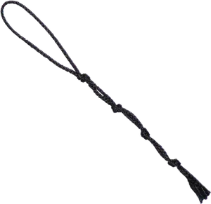 Black Braided Whip PNG image