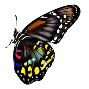 Black Butterfly A PNG