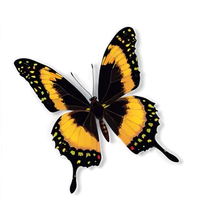 Black Butterfly B PNG