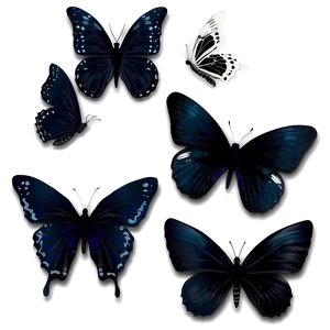 Black Butterfly Decoration PNG Qai