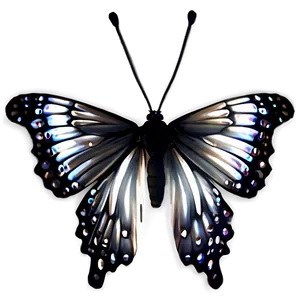 Black Butterfly Decoration PNG Qoo95 PNG