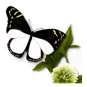 Black Butterfly Dream PNG Muy PNG