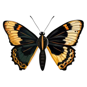 Black Butterfly Illustration Png Efe6 PNG image