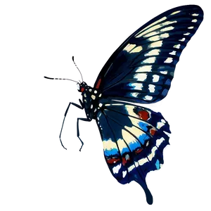 Black Butterfly In Flight Png 06252024 PNG image