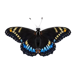 Black Butterfly In Flight Png 06252024 PNG image