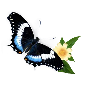 Black Butterfly In Nature PNG Omt54 PNG