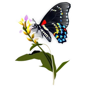 Black Butterfly On Flower PNG 06252024