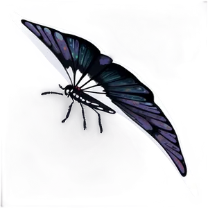 Black Butterfly On White PNG 45 PNG