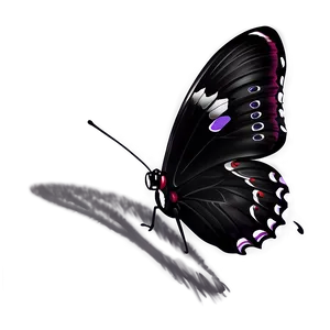 Black Butterfly Sketch Png 06252024 PNG image