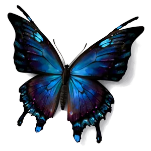 Black Butterfly With Blue Highlights PNG Guf77 PNG
