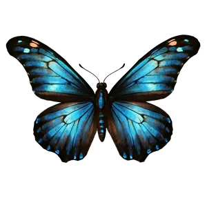 Black Butterfly With Blue Highlights Png Vta PNG image