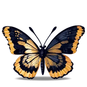 Black Butterfly With Golden Accents PNG Acm22 PNG