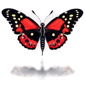 Black Butterfly With Red Spots PNG 06252024 PNG