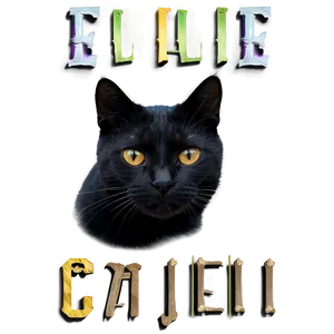 Black Cat Face Png Adn26 PNG image