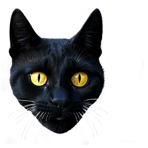 Black Cat Face Png Gyj PNG image