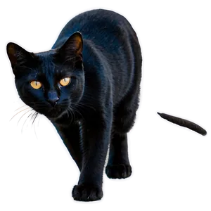 Black Cat Png 05252024 PNG image