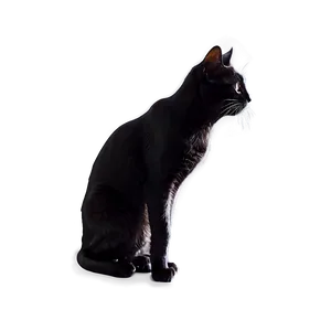 Black Cat Silhouette PNG 06122024 PNG