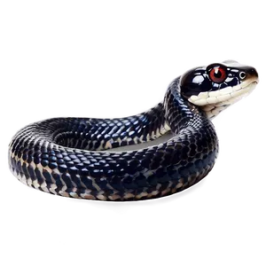 Black Corn Snake PNG 76 PNG