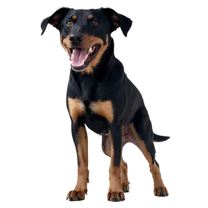 Black Dog Barking Png Cub71 PNG image