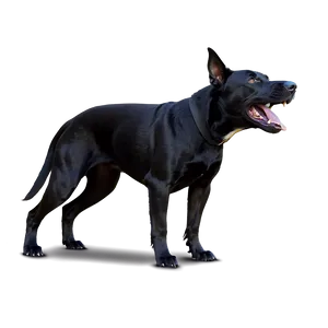 Black Dog Barking Png Vmv PNG image