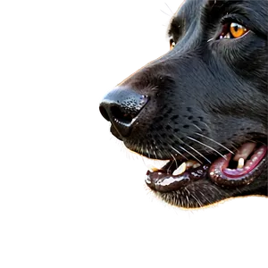 Black Dog Nose Png Xho35 PNG image