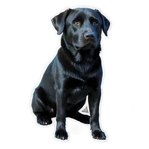 Black Dog Transparent Png Eck PNG image