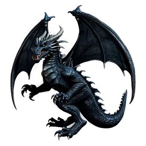 Black Dragon C