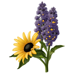 Black Eyed Susan And Lavender Bouquet PNG 06282024 PNG