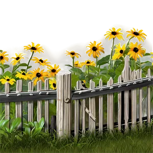 Black Eyed Susan Fence Line PNG 06282024
