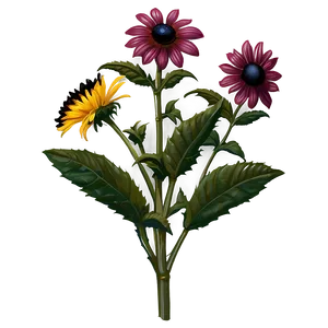 Black Eyed Susan Floral Pattern PNG 06282024