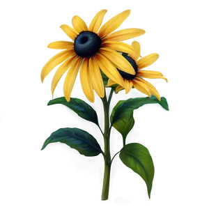 Black Eyed Susan Floral Pattern PNG 17 PNG