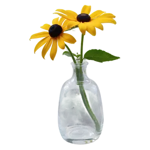 Black Eyed Susan In Vase PNG 15