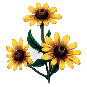 Black Eyed Susan Sketch PNG Mas58 PNG