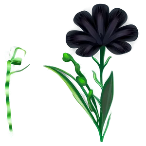 Black Fade Flower Png 05252024 PNG image