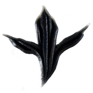 Black Fade To Grey PNG 05252024