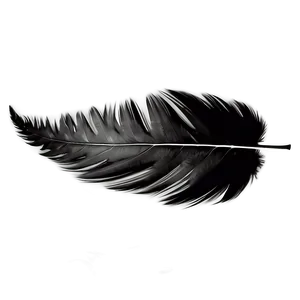 Black Feather Texture PNG 06202024 PNG