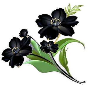 Black Floral Design PNG 06202024 PNG