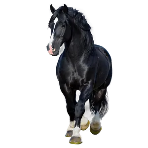 Black Friesian Horse Png Ura97 PNG image