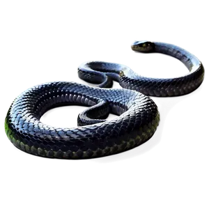 Black Garden Snake PNG Bee83 PNG