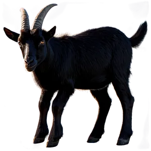 Black Goat Png 67 PNG image