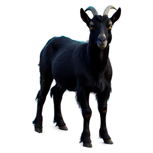 Black Goat Png Ckn67 PNG image