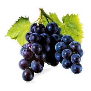 Black Grape PNG 05212024