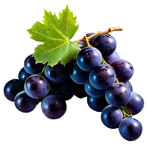 Black Grape PNG 05212024
