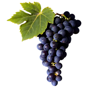 Black Grape Png 35 PNG image