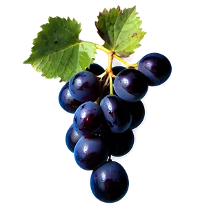 Black Grape PNG 67