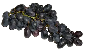 Black Grapes Cluster Dark Background PNG image
