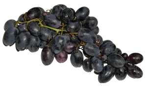 Black Grapes Cluster.png PNG image
