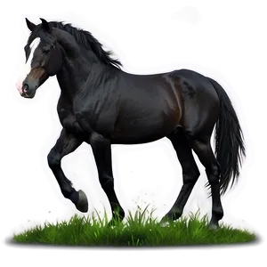 Black Horse Digital Artwork PNG 06262024 PNG