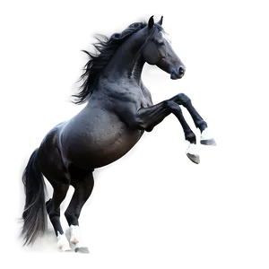 Black Horse Digital Artwork PNG 96