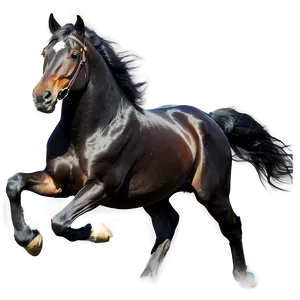 Black Horse Galloping Illustration PNG Ury PNG